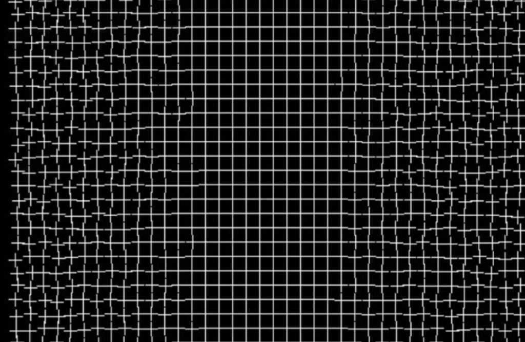 20 Mind-Bending Illusions That Will Make You Question Reality An unusual grid