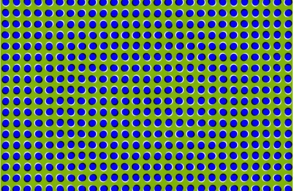 20 Mind-Bending Illusions That Will Make You Question Reality An Animated GIF%E2%80%A6 Wait