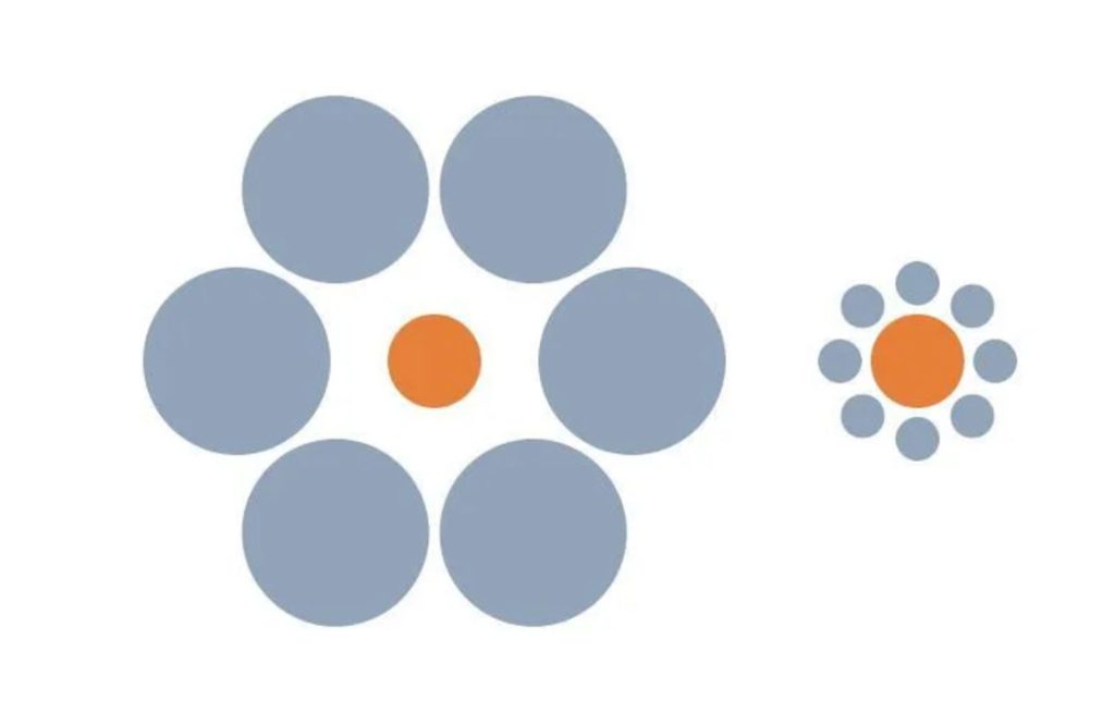 20 Mind-Bending Illusions That Will Make You Question Reality The Ebbinghaus Illusion