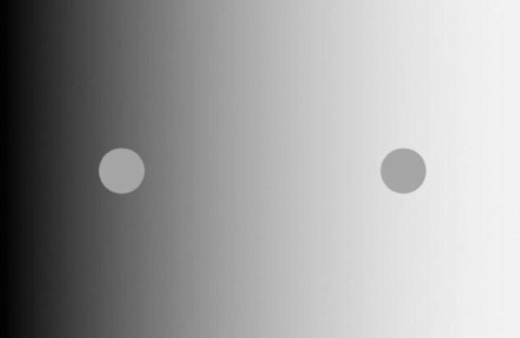 20 Mind-Bending Illusions That Will Make You Question Reality Shades of gray