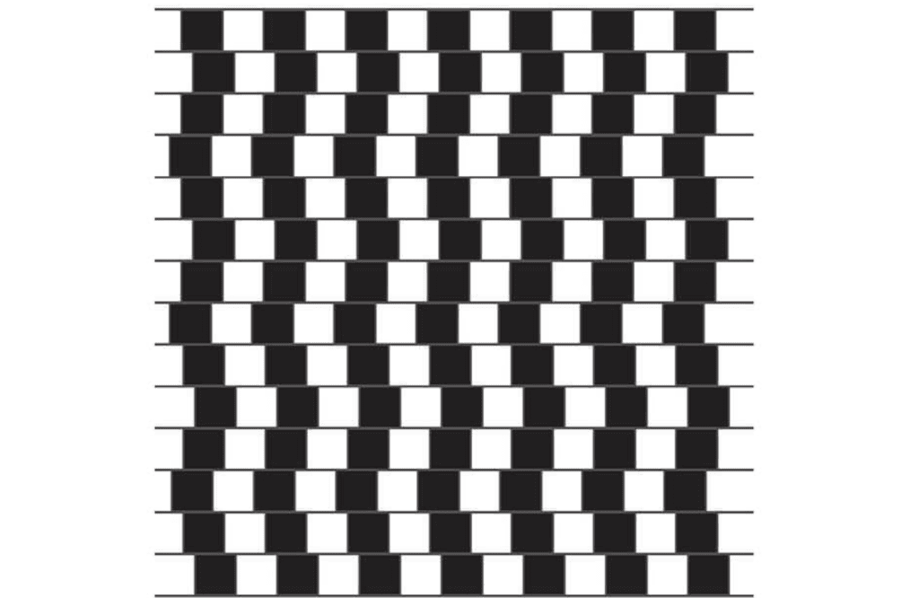 20 Mind-Bending Illusions That Will Make You Question Reality Why are our brains like this