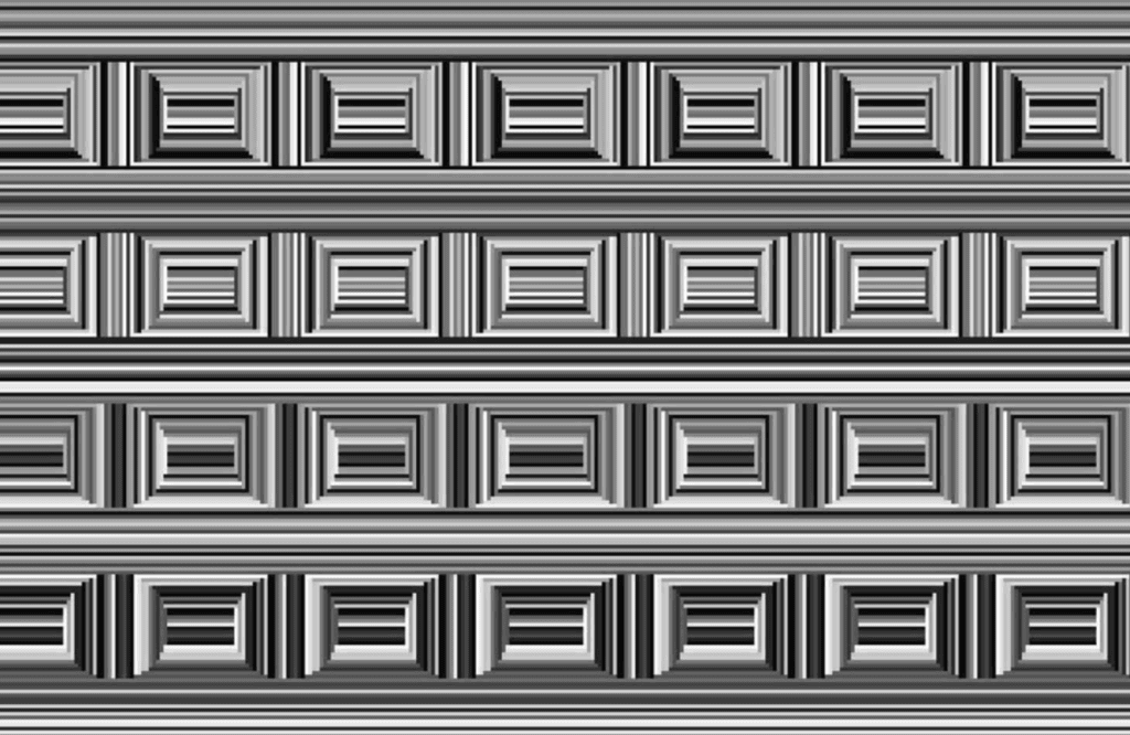 20 Mind-Bending Illusions That Will Make You Question Reality Squares or circles