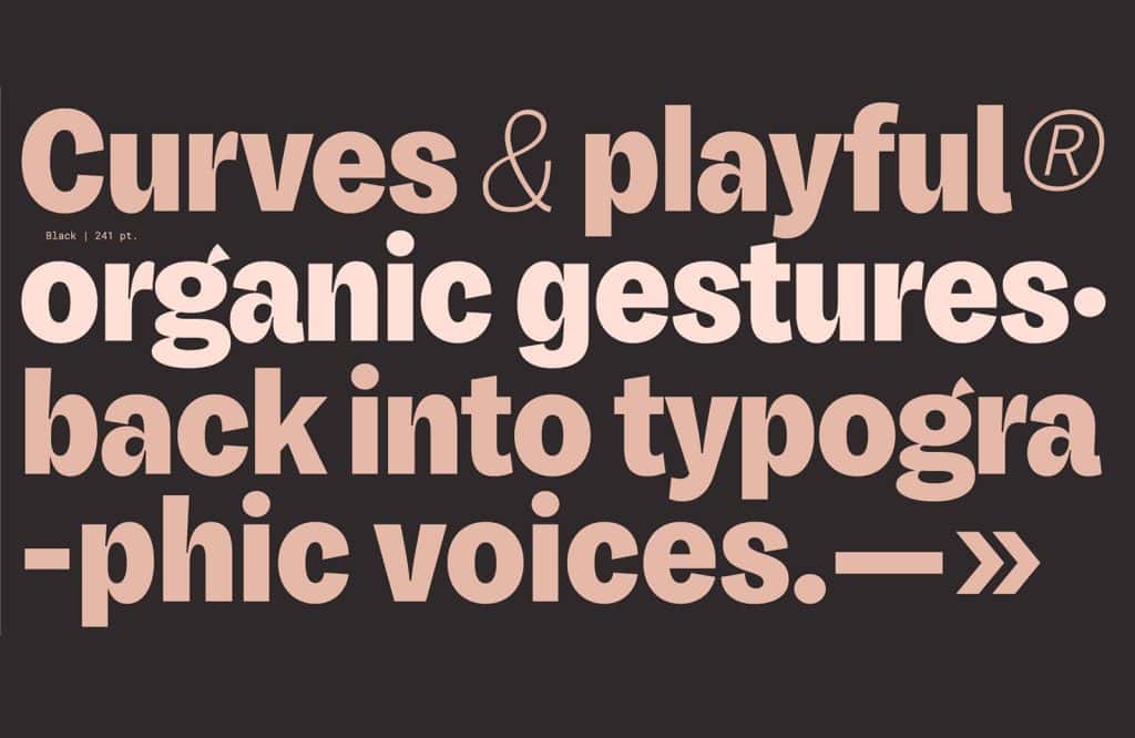 15 Best New Fonts, April 2024 06 honesta