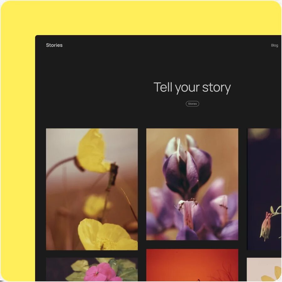 A Closer Look at WordPress 6.7: "Rollins"