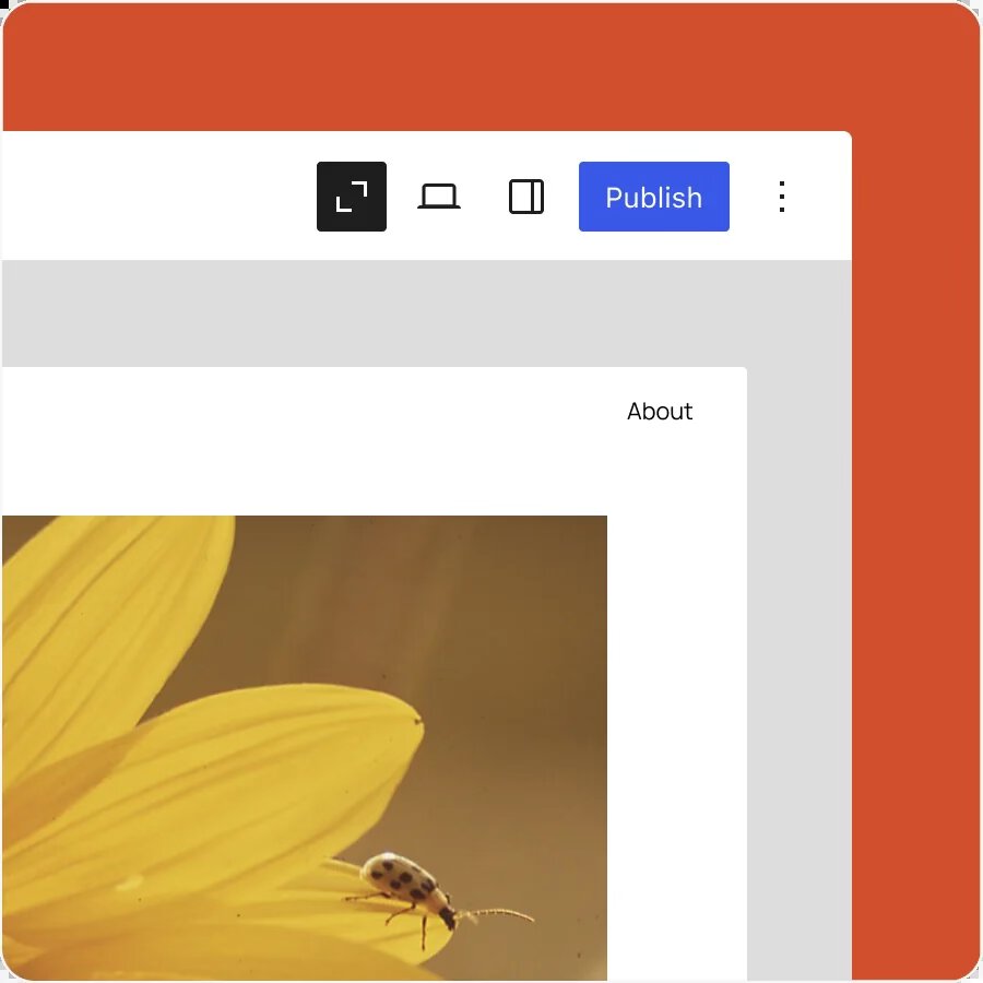A Closer Look at WordPress 6.7: "Rollins" tempImageB3z7rH