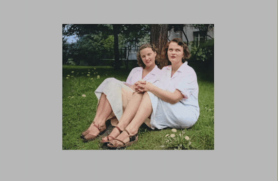 Adobe Is Turning Photoshop Elements Into a Much Smarter Photoshop Lite Photoshop Elements AI Tools
