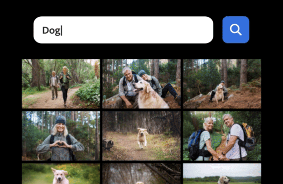Adobe Is Turning Photoshop Elements Into a Much Smarter Photoshop Lite Photoshop Premiere Elements Organizer