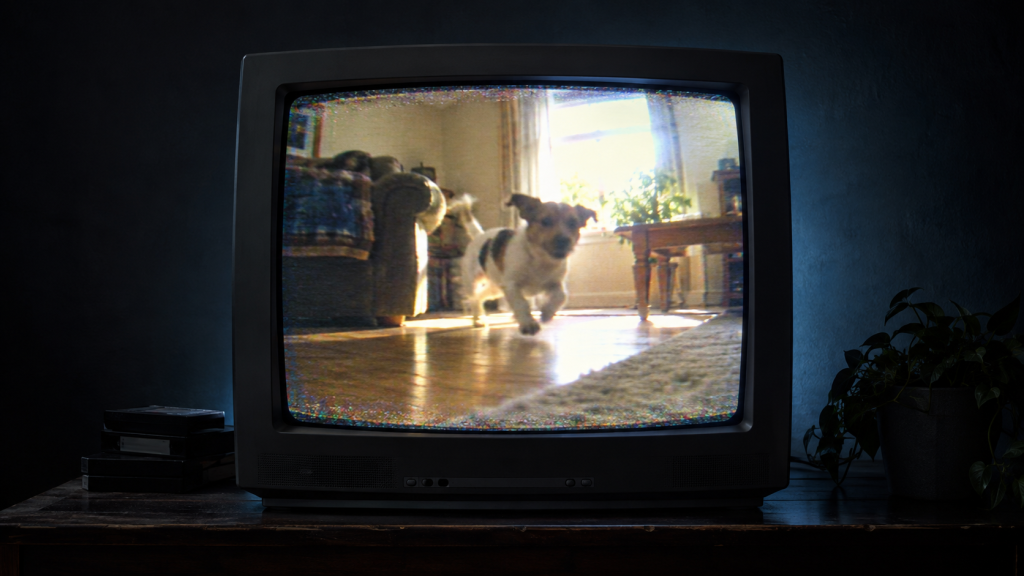 This Website Found More Than 5 Million Forgotten iPhone Videos… and It’s Weirdly Emotional